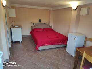 Апартаменты Apartman Pavle 2 Вирпазар Апартаменты с 1 спальней-13