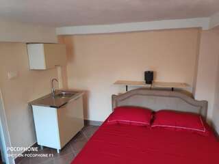 Апартаменты Apartman Pavle 2 Вирпазар Апартаменты с 1 спальней-44