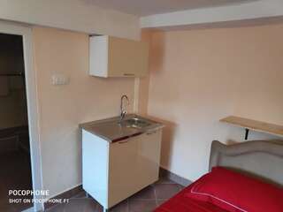 Апартаменты Apartman Pavle 2 Вирпазар Апартаменты с 1 спальней-47